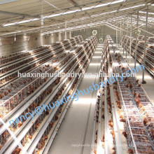 Chicken Use and A types of chicken egg poultry farm